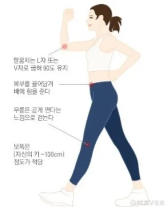 걷기운동 효과 좋은점 놀라운 효능 방법_12