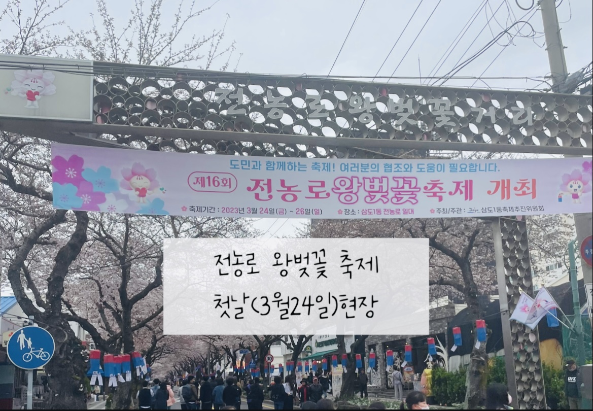 전농로_벚꽃_축제
