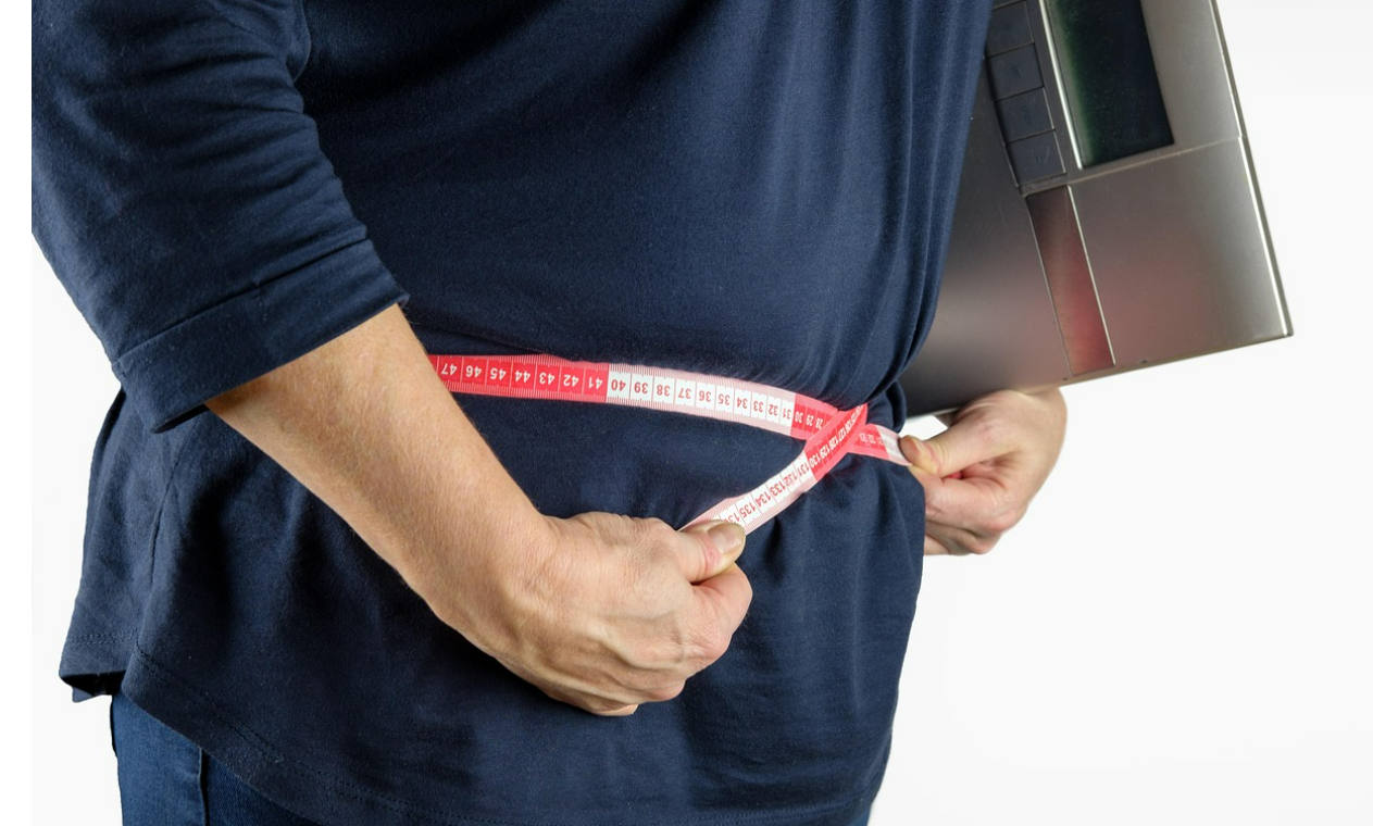 비만이 건강에 미치는 영향