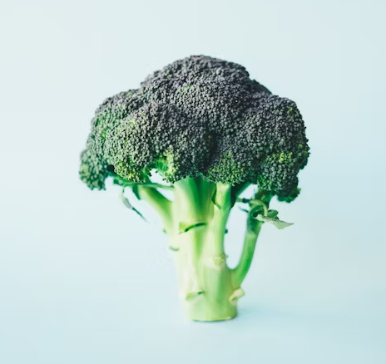 브로콜리 효능과 부작용 고르는법 칼로리
