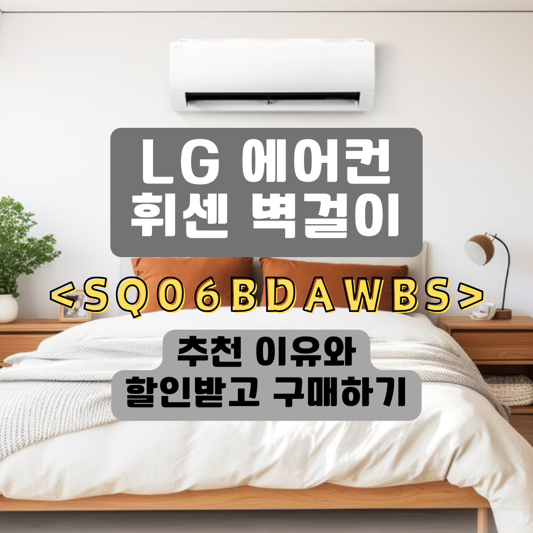 LG 에어컨 SQ06BDAWBS