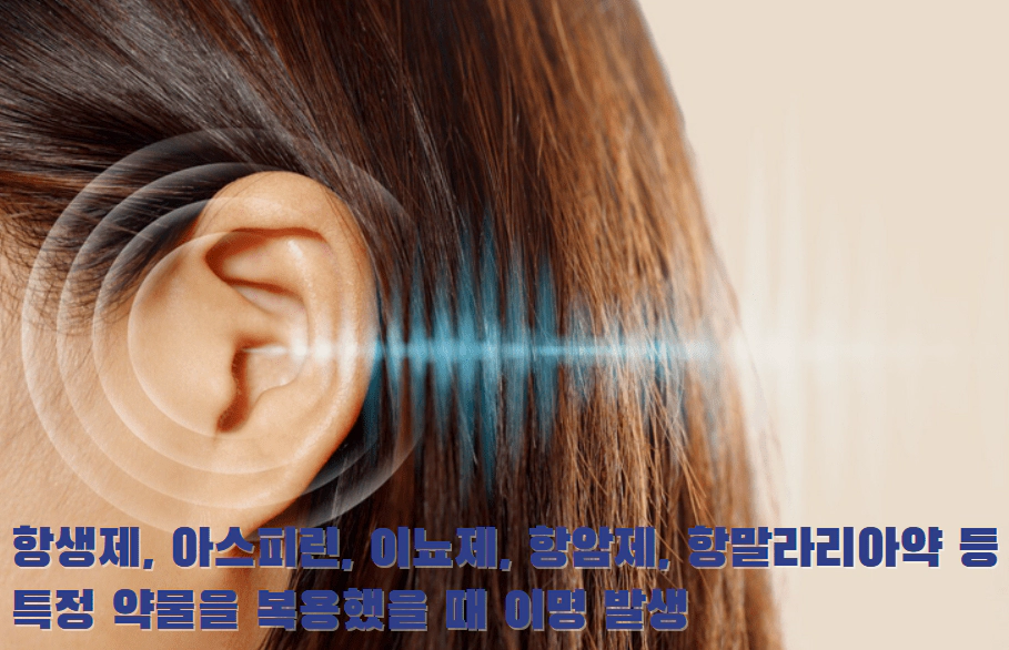 귀에 잡음이 들리는 걸 표현한 사진