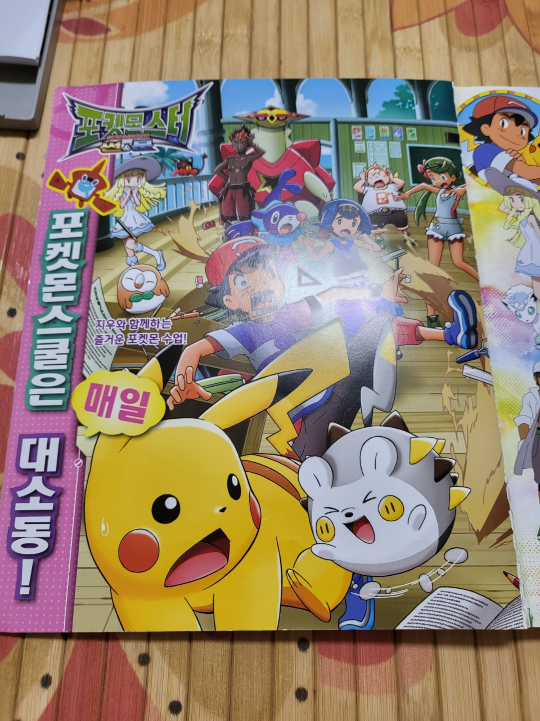 포켓몬전국대도감