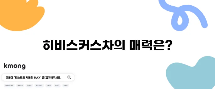 히비스커스차의 10가지 효능과 함께 알아야 할 부작용이 있습니다.