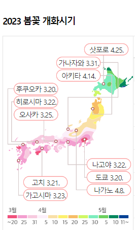 2023 일본 벚꽃 개화시기