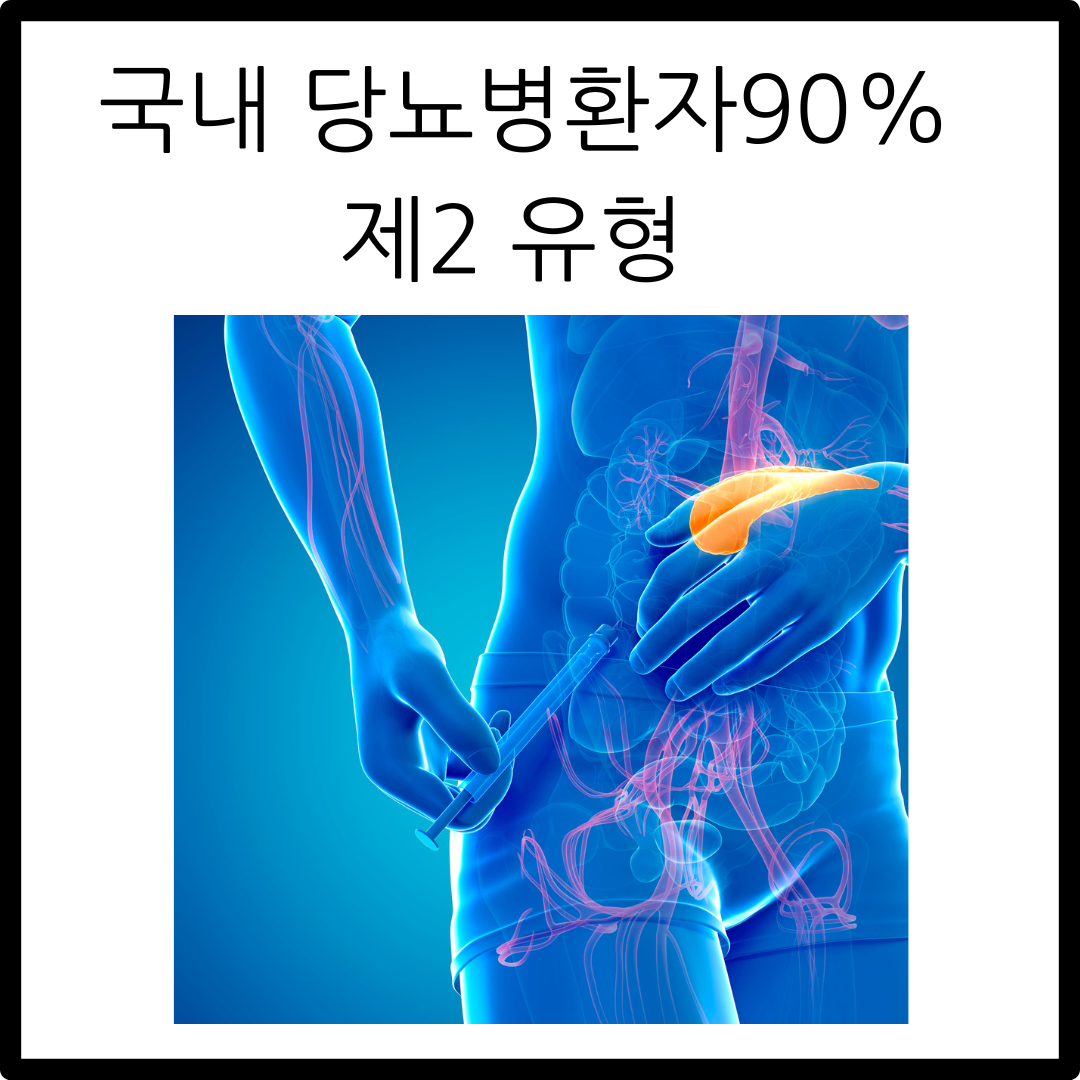 당뇨병 증상과 원인 예방과 관리방법