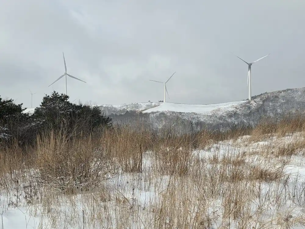 멀리 보이는 풍차