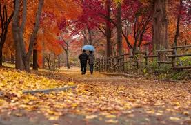2024 설악산 단풍축제: 가을의 아름다움을 만끽하는 방법 🍂