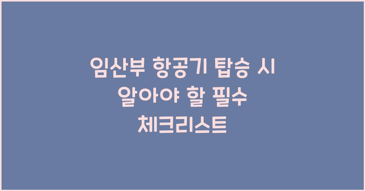 임산부 항공기 탑승