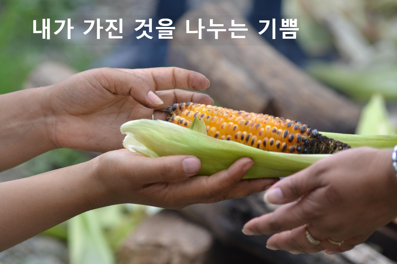 옥수수 나눔