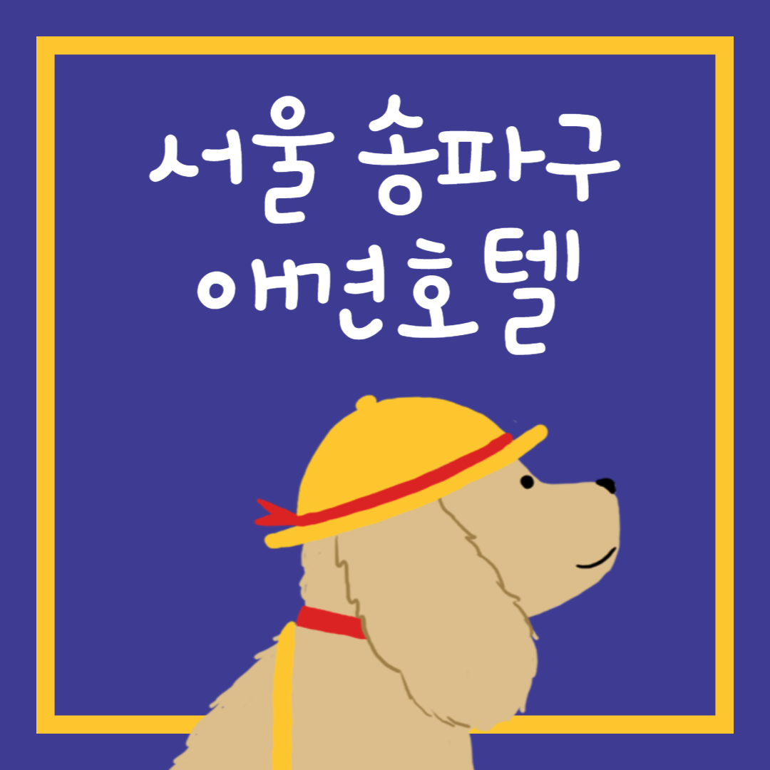 송파구 애견호텔