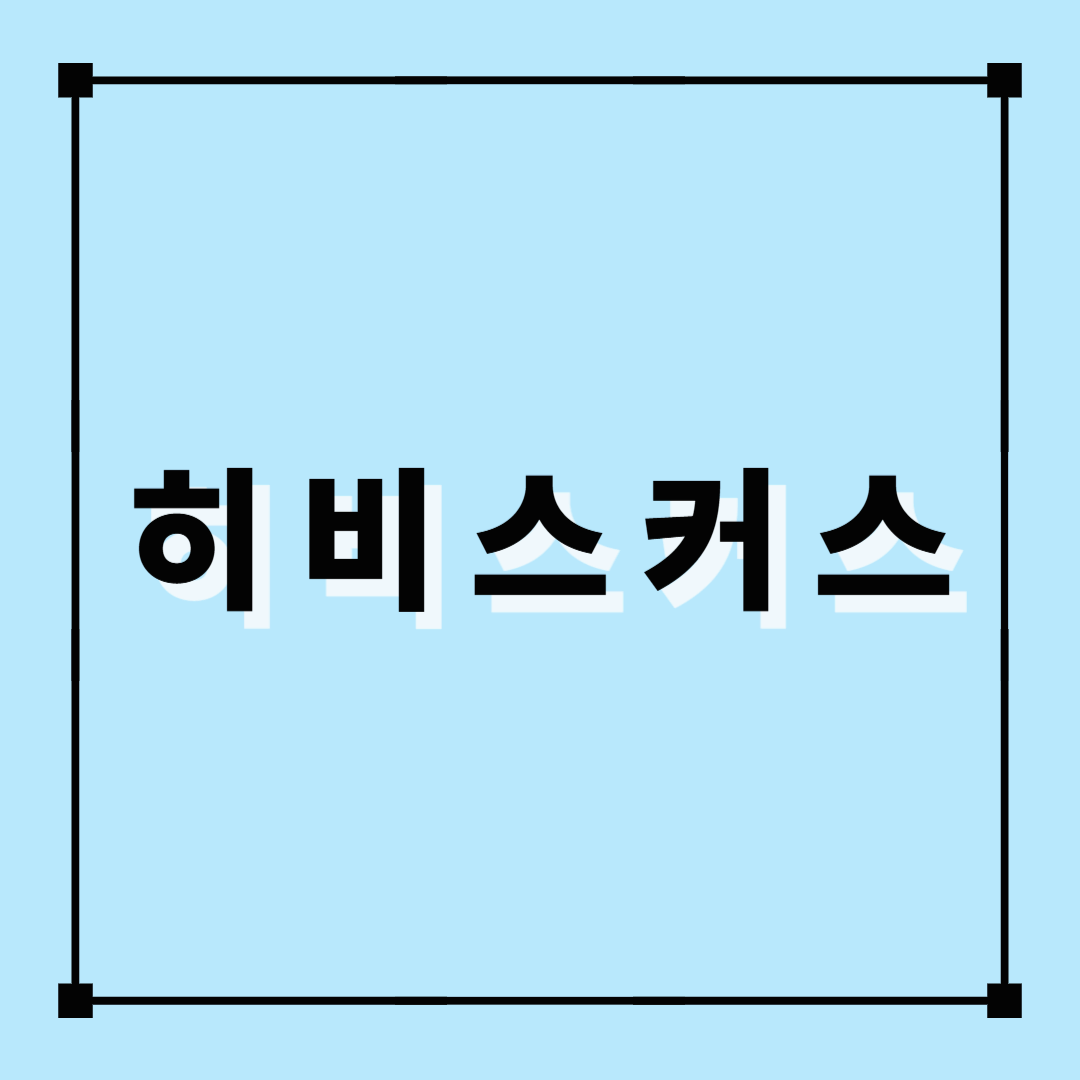 히비스커스, 히비스커스차, 허브차, 히비스커스효능, 히비스커스장점