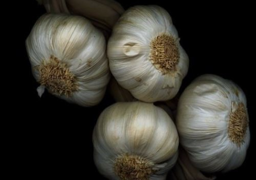 마늘