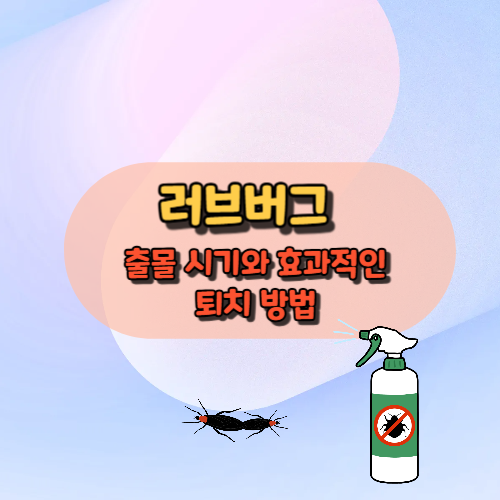 출몰 시기와 효과적인
퇴치 방법