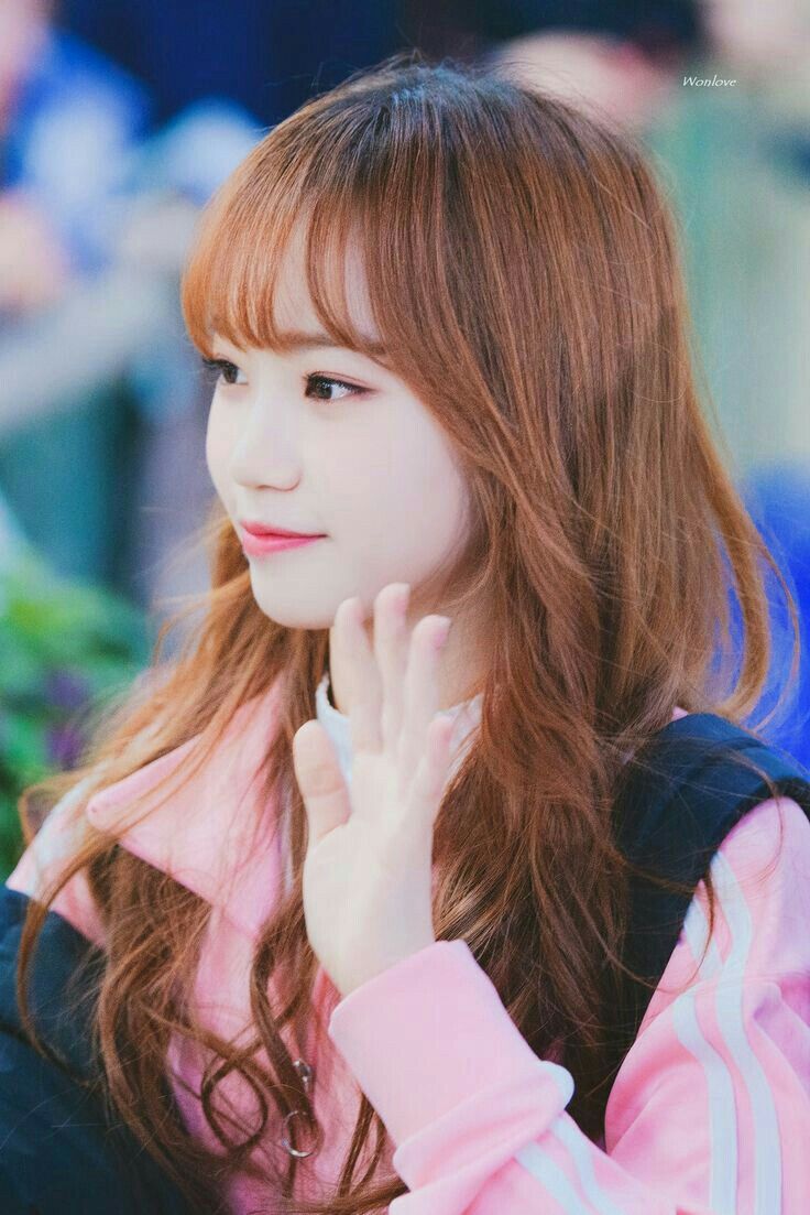 김채원 사진 모음