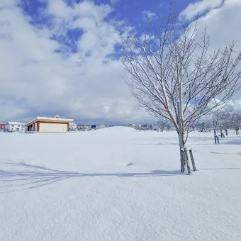 홋카이도 북해도 오타루 자유여행 코스 일정_14
