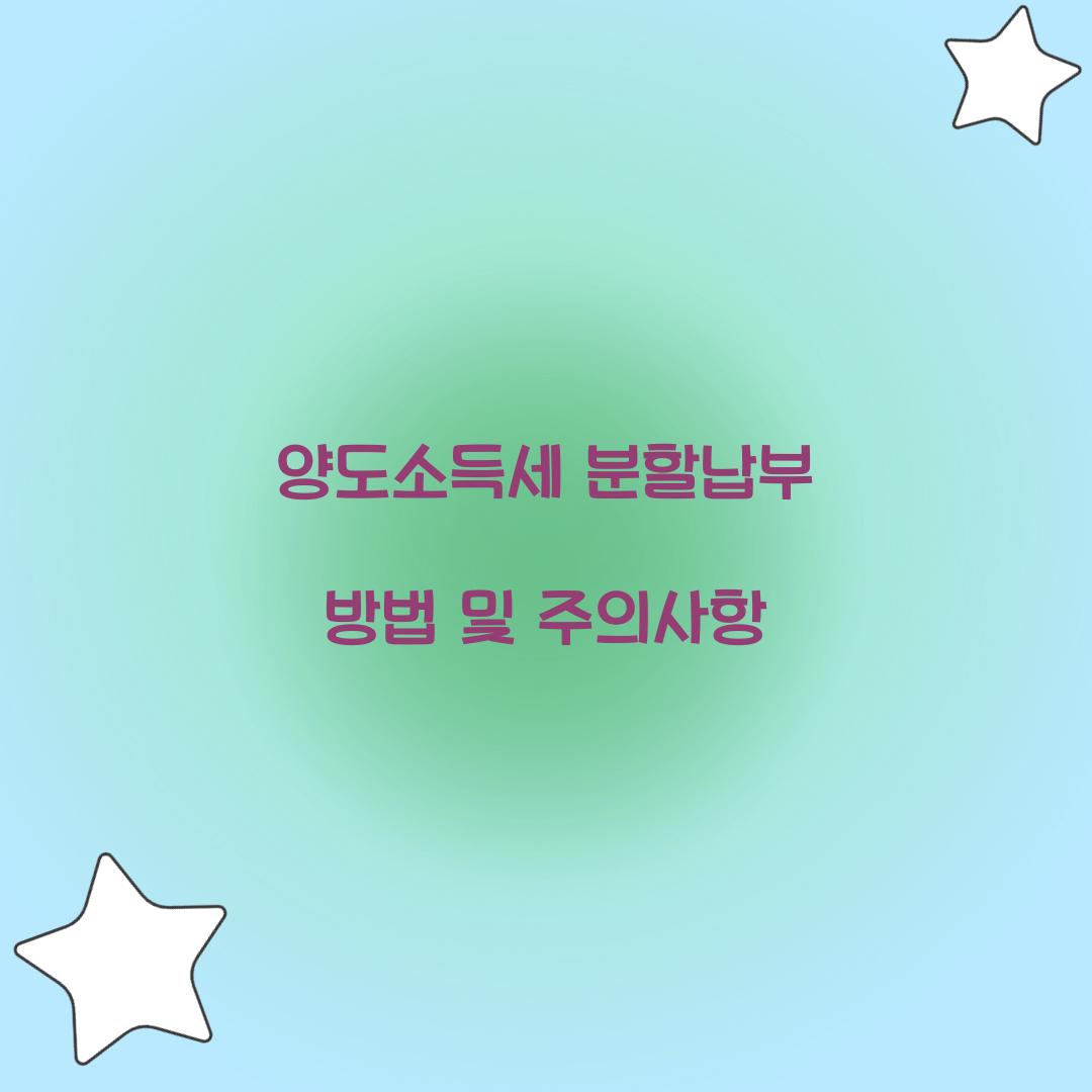 양도소득세 분할납부