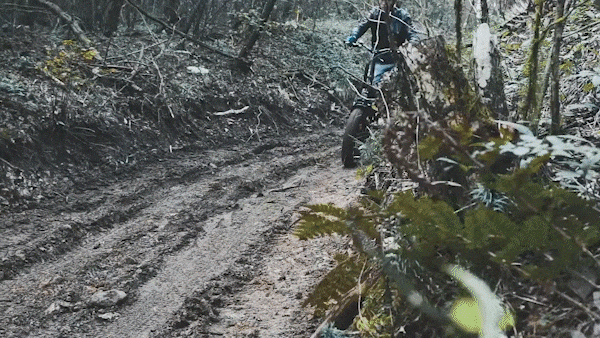 가성비 전기자전거 추천 - 조보바이크 에디