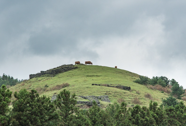 조용하고 한적한 제주 오름 손지오름 민오름 족은노꼬메오름
