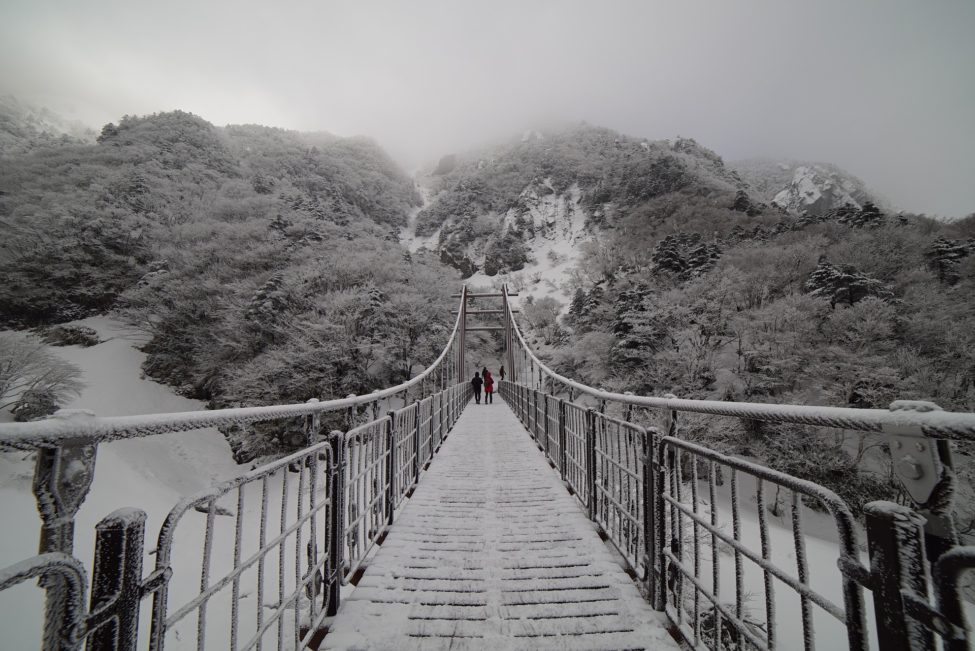 한라산풍경