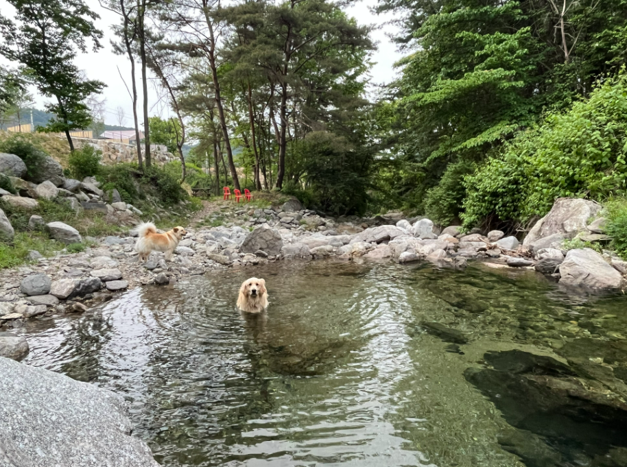 캠핑