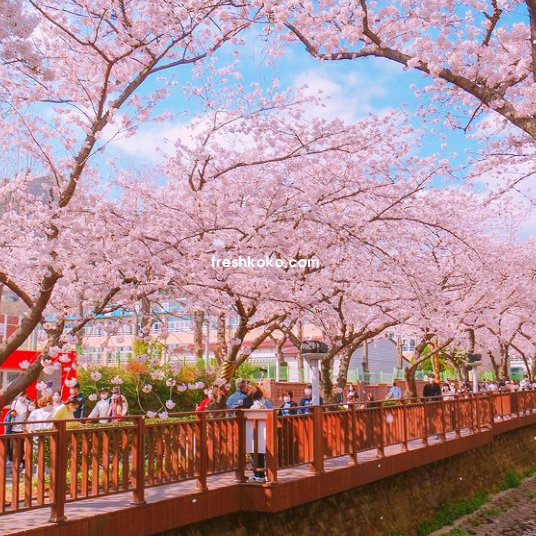 4월에 가볼만한 국내 여행지