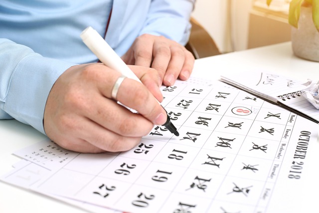 지급일과 입금 확인 방법