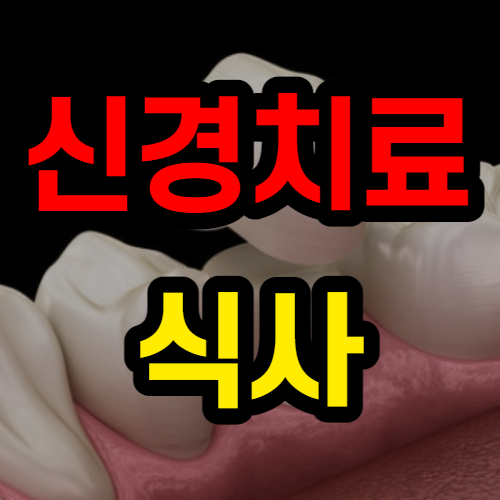 치아신경치료식사