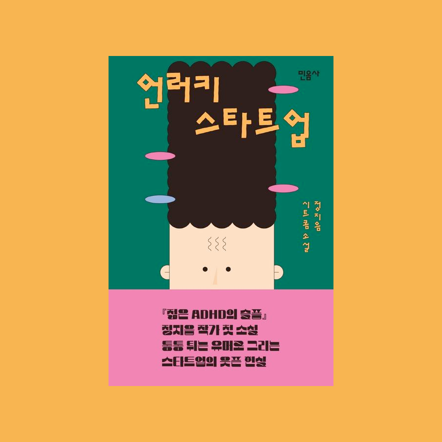 언러키 스타트업 - 정지음
