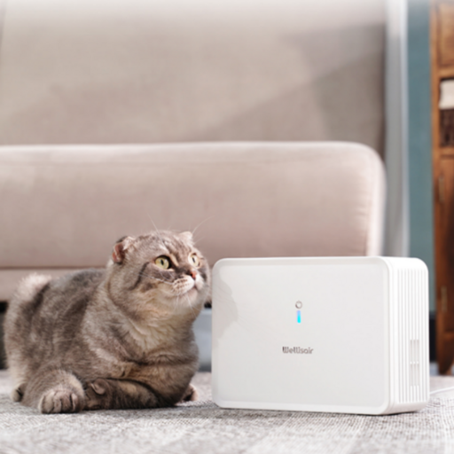 공기청정기렌탈 아토피에 좋은 구매가이드