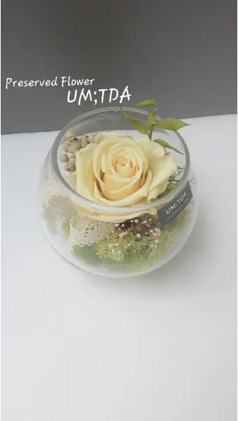 어레인지 뜻과 어레인지먼트 어렌지 arrange 차이_20