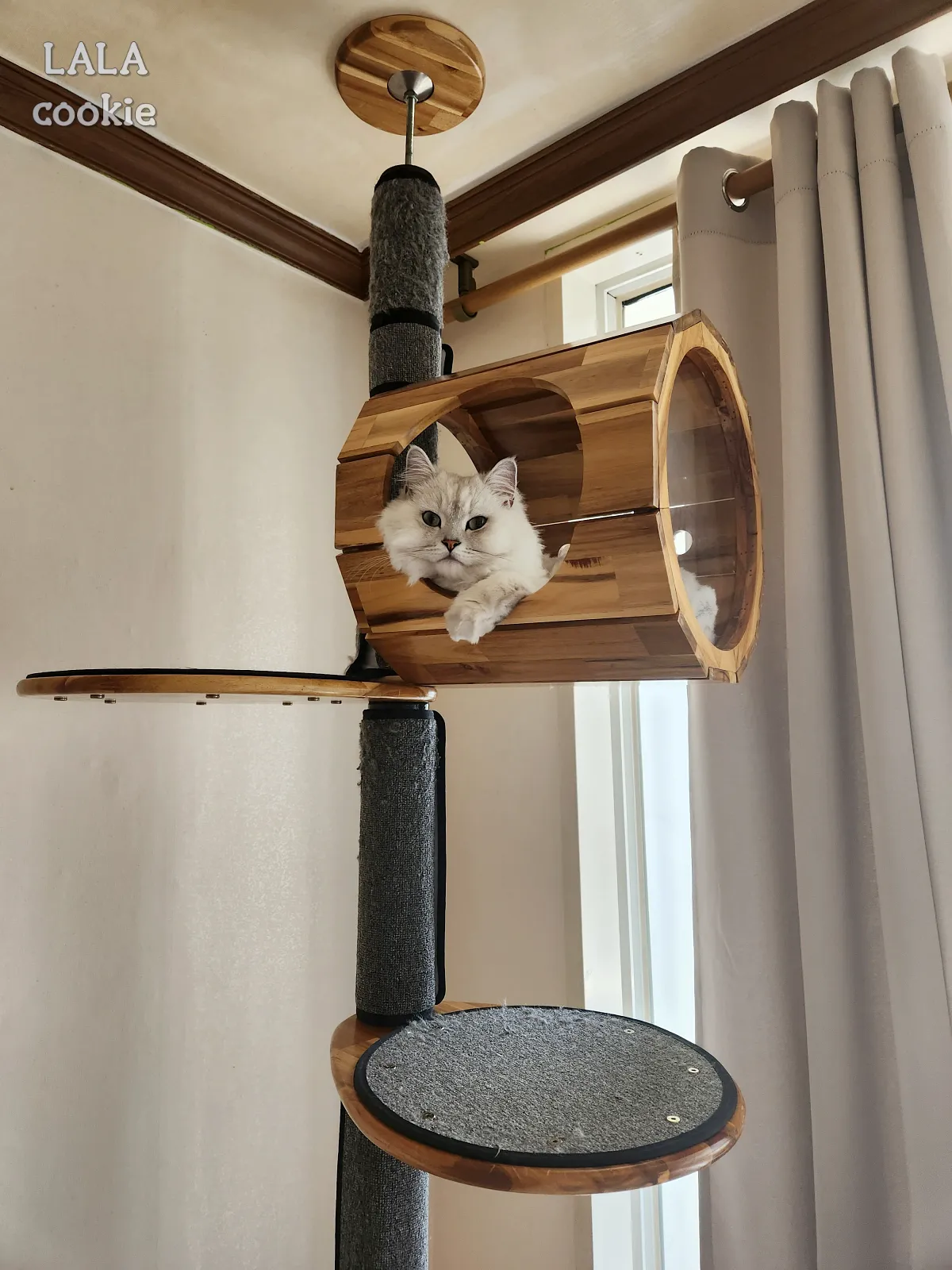고양이-스크래쳐-추천-캣타워