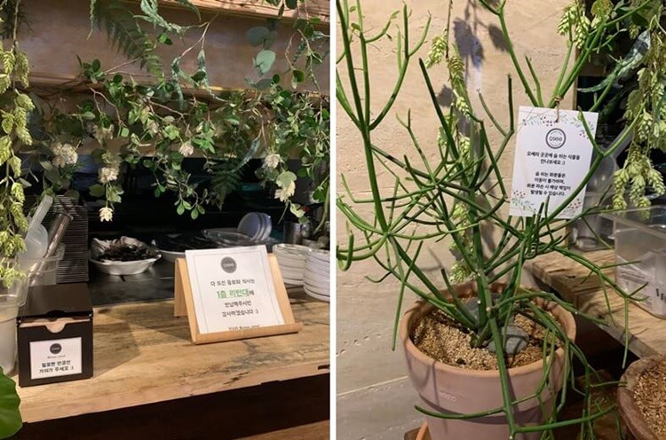 반납 및 냅킨 안내문 및 파손 주의 안내문