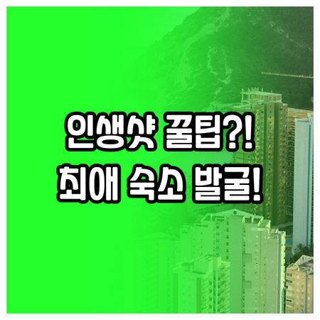 인생샷 보장 다리 얼하이 오션뷰 리조..