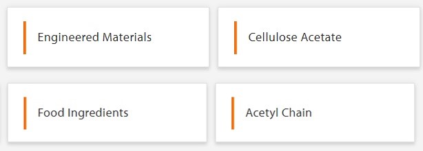 셀라니스-사업부문