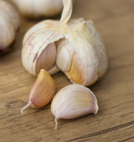 마늘 효능 효과 부작용 당뇨 혈관 건강