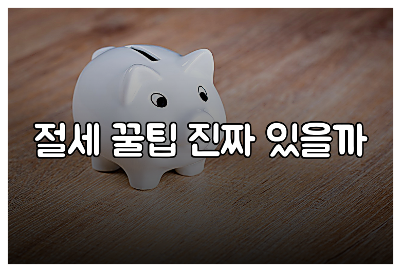 절세 꿀팁 진짜 있을까