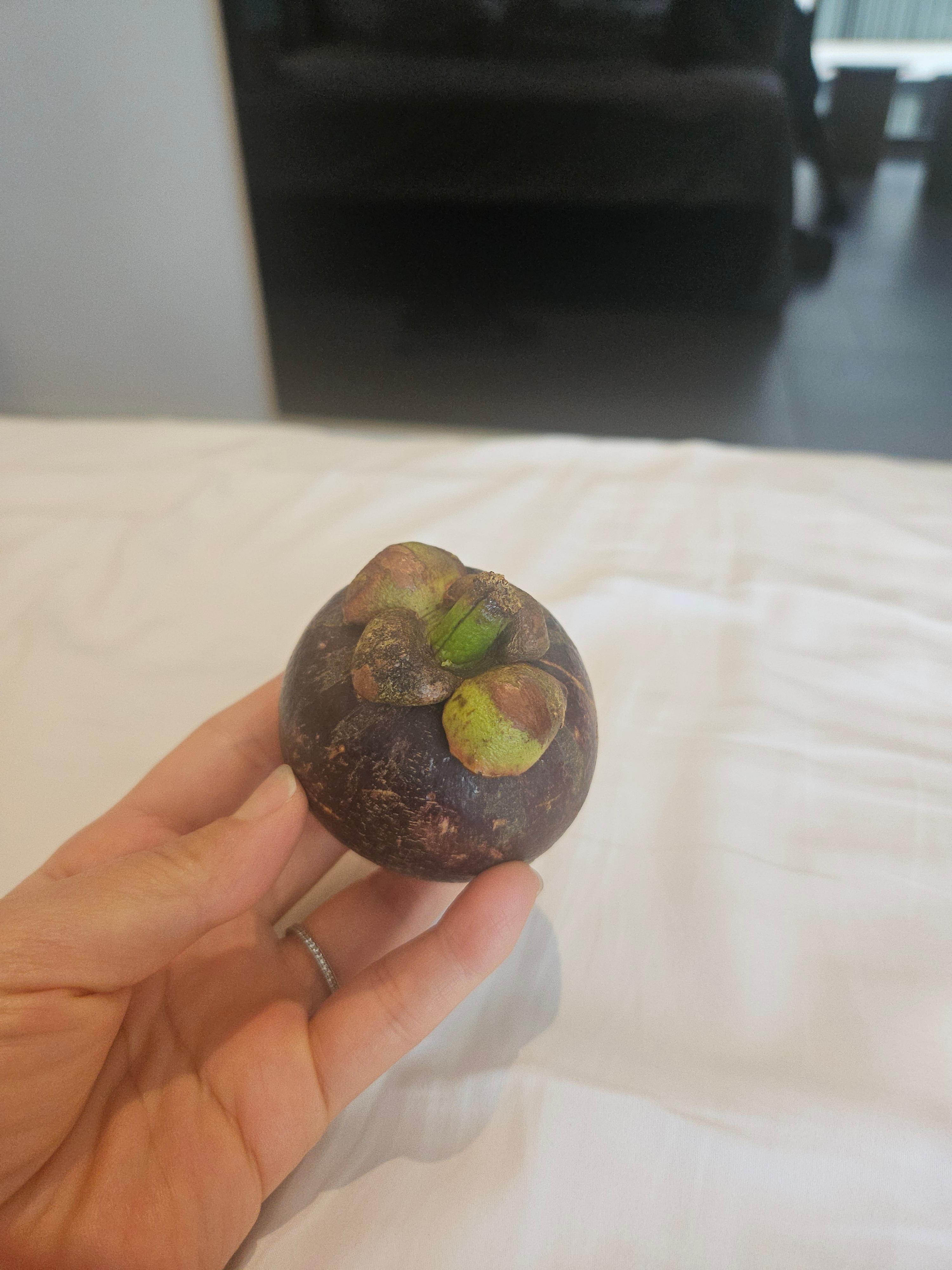 방콕 태국여행 공항 픽업 박군투어