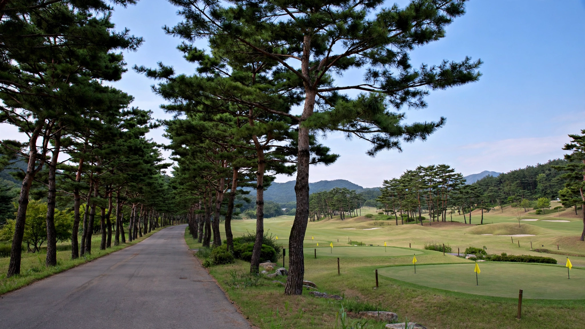경기도 심학산 파크골프장(파주) 예약 방법과 이용요금 총정리