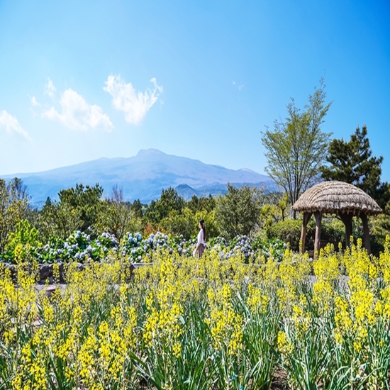 6월 가볼만한곳 베스트10