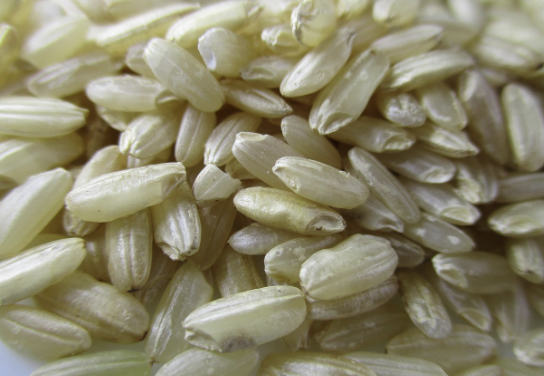 쌀·잡곡·건조식재료 보관법