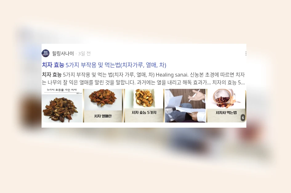 치자 효능_2_subsection