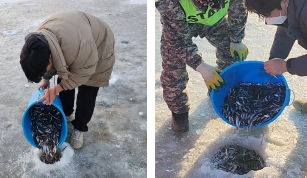양평산수유마을빙어축제-빙어방류