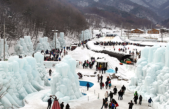 청양 알프스마을 축제, 자연 속에서 즐기는 특별한 체험!
