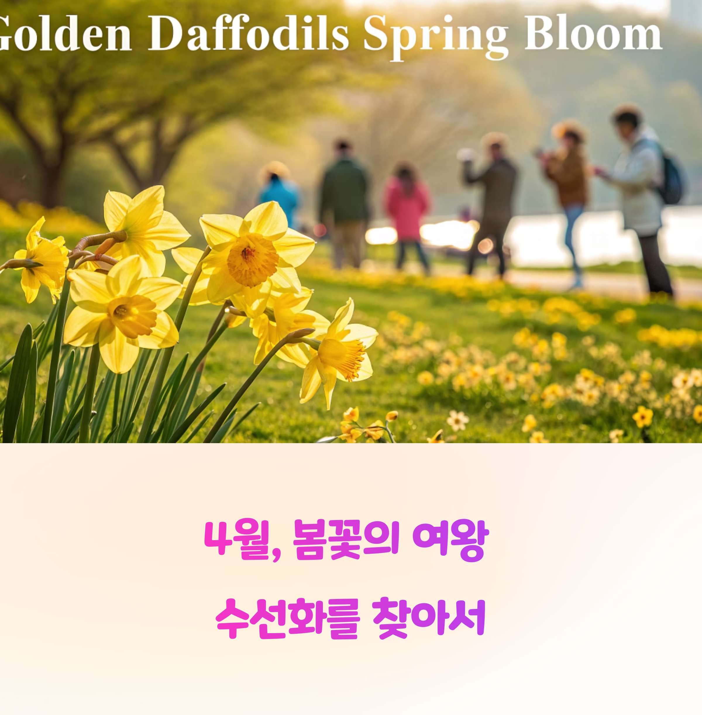4월 추천! 수선화 명소 방문기, 감성 가득한 날
