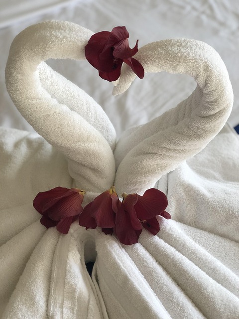 숙박 세일페스타 2025년 바우처받기&amp;#44; 예약꿀팁&amp;#44; 예약방법