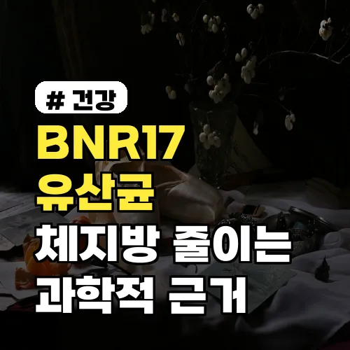 BNR17 유산균, 체지방 줄이는 과학적 근거