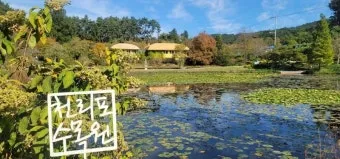 천리포 수목원 목련축제 입장료 여행코스_20