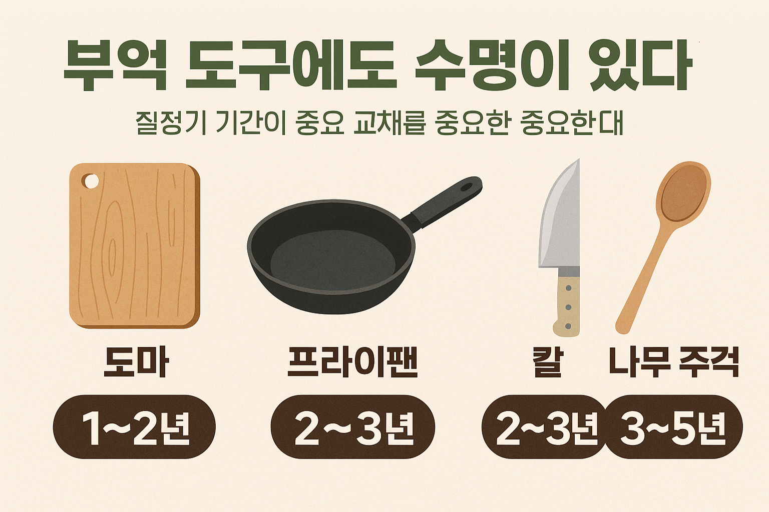 부엌 도구 수명 주기 인포그래픽 - 도마, 프라이팬, 칼, 나무 주걱 교체 주기 안내