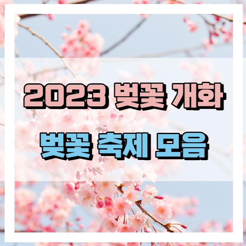 2023 벚꽃 개화 시기